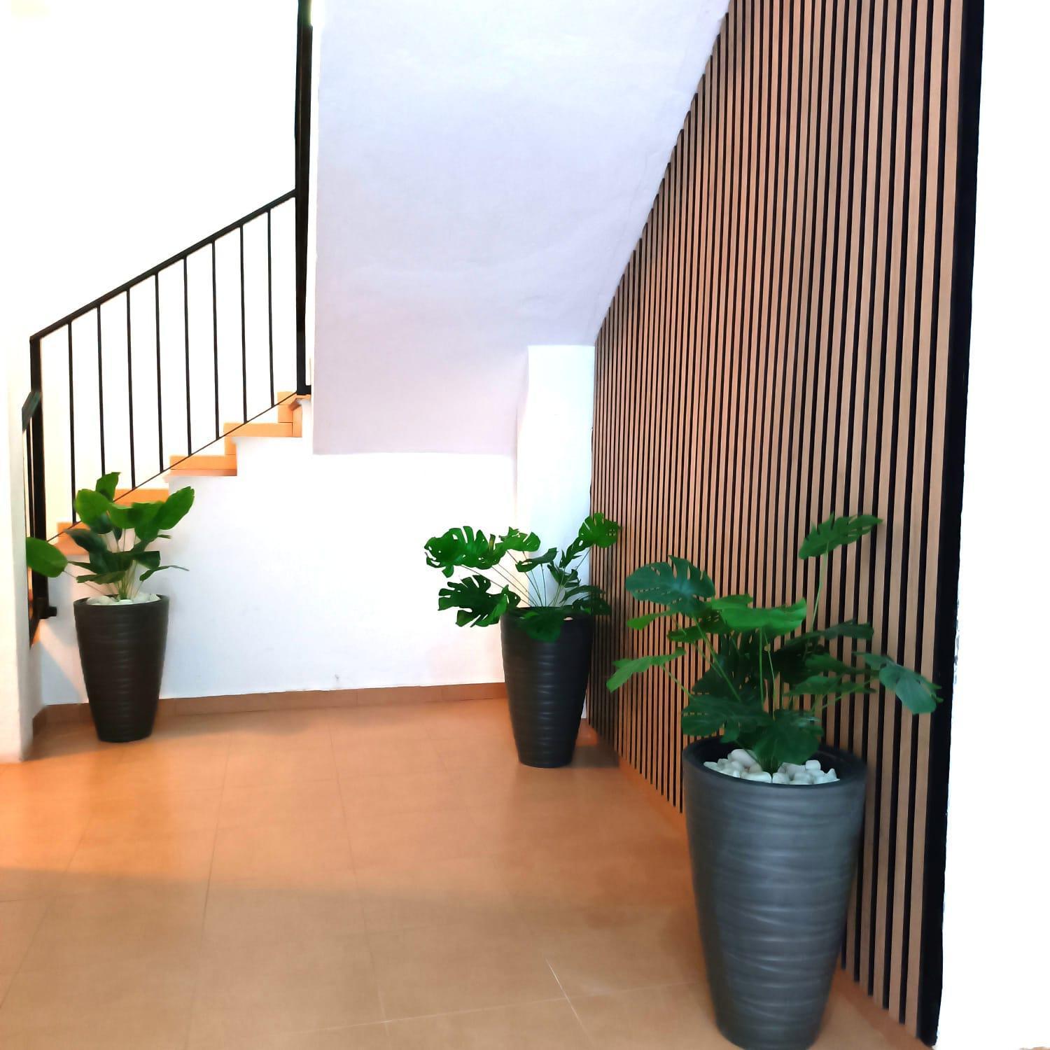 Apartamentos Calle Nueva Málaga Eksteriør bilde