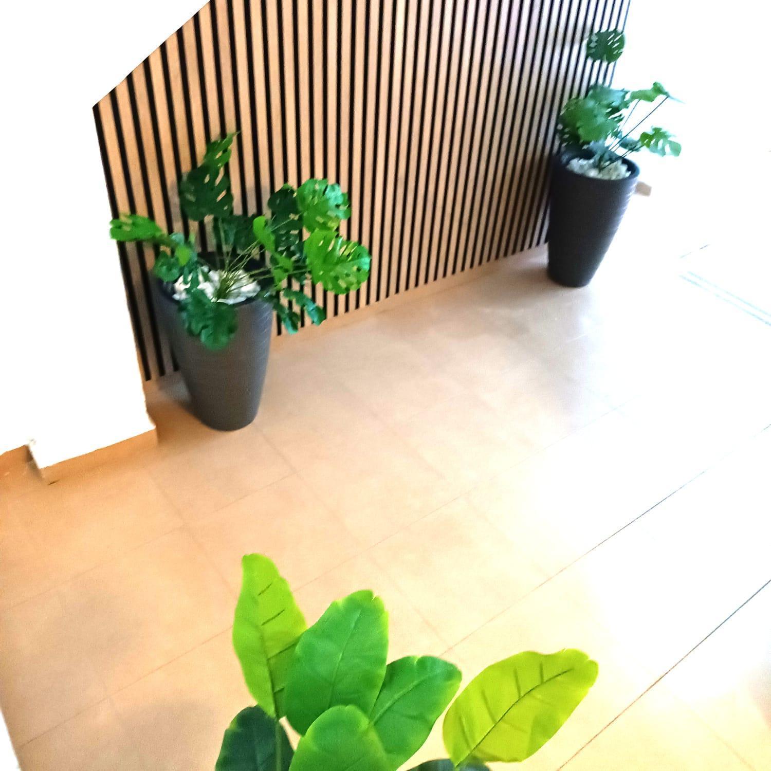 Apartamentos Calle Nueva Málaga Eksteriør bilde