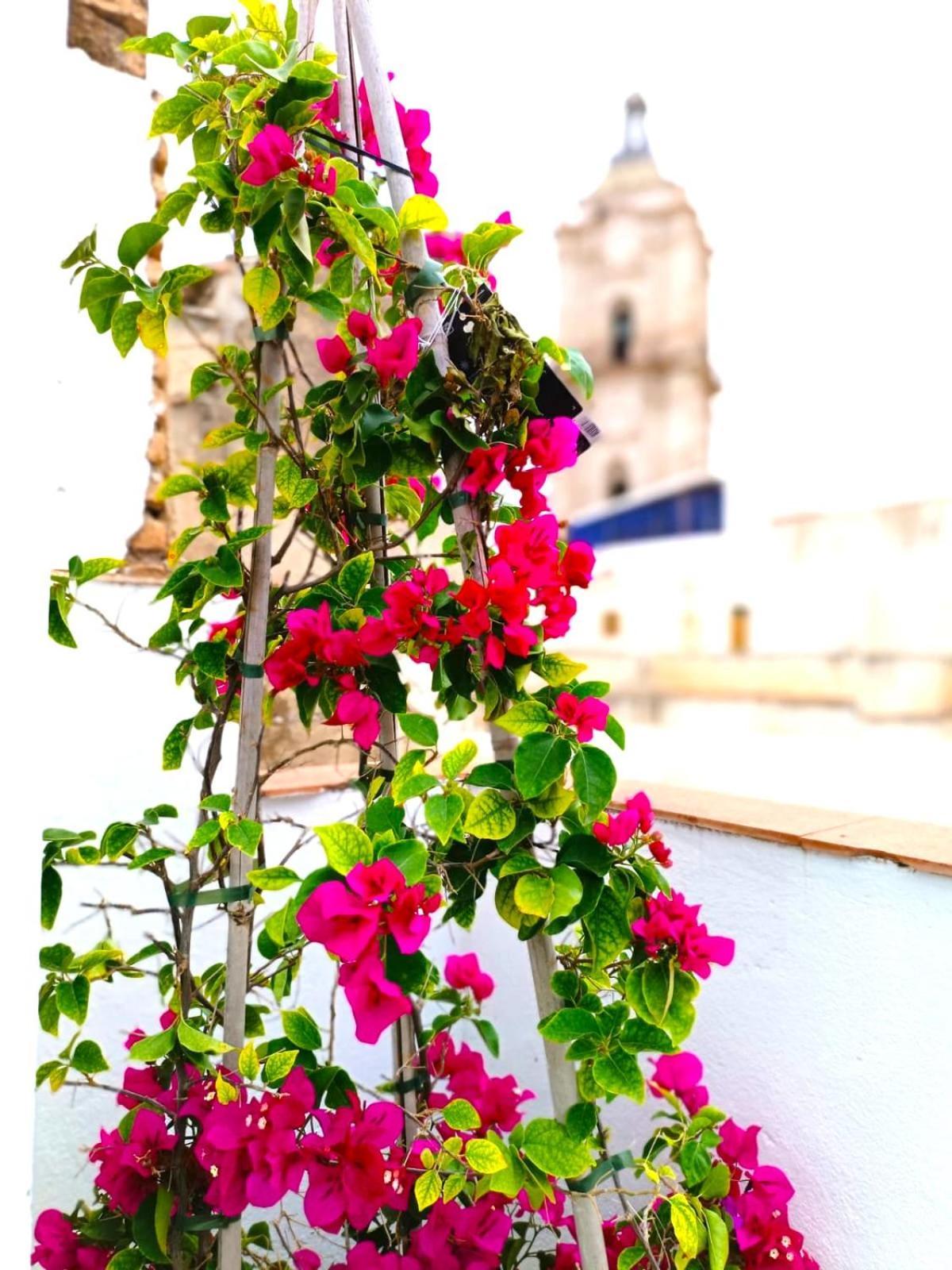 Apartamentos Calle Nueva Málaga Eksteriør bilde